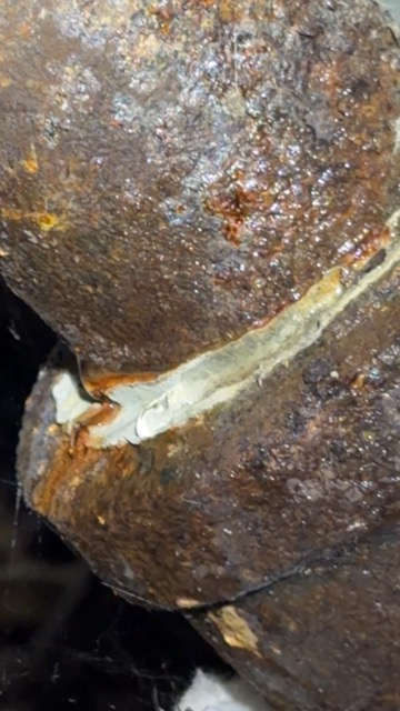 Crawlspace inspection video